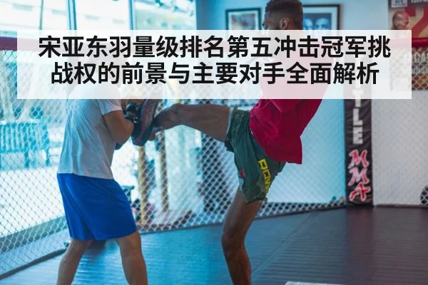 MMA training