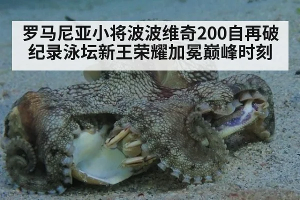 罗马尼亚小将波波维奇200自再破纪录泳坛新王荣耀加冕巅峰时刻